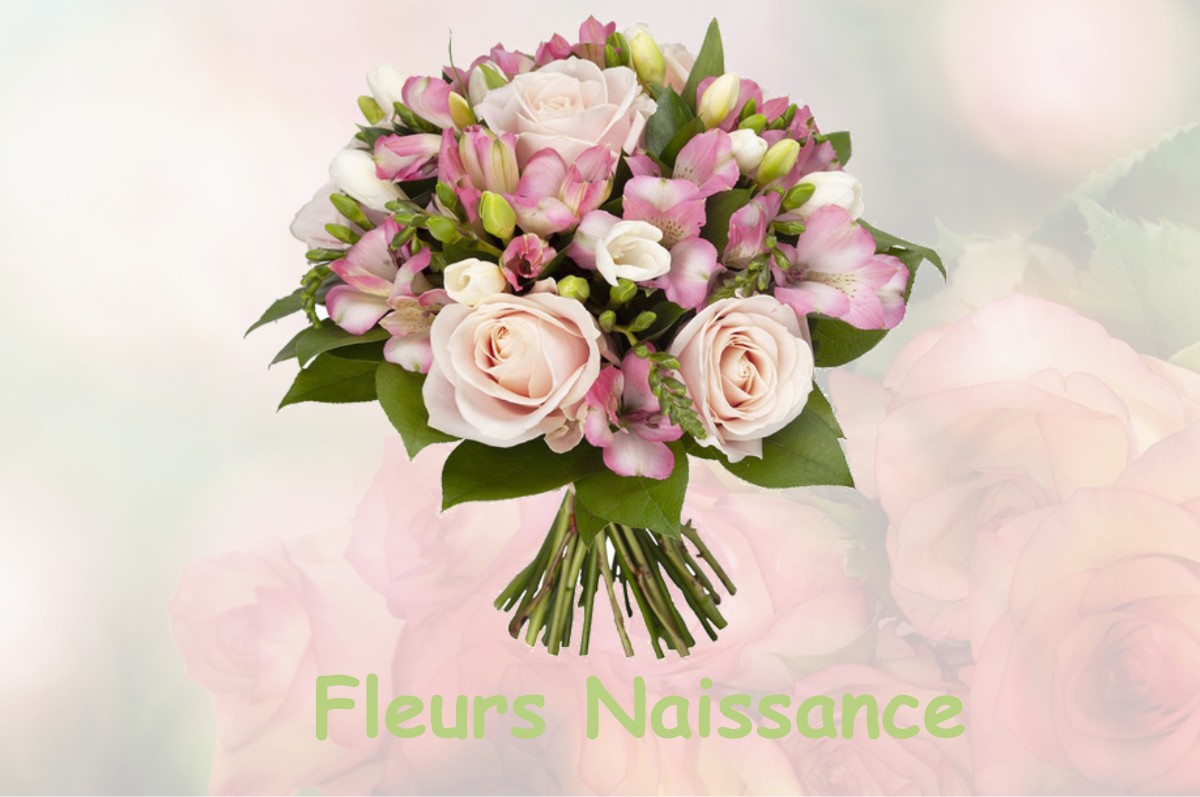 fleurs naissance SAINT-PIERRE-DE-NOGARET